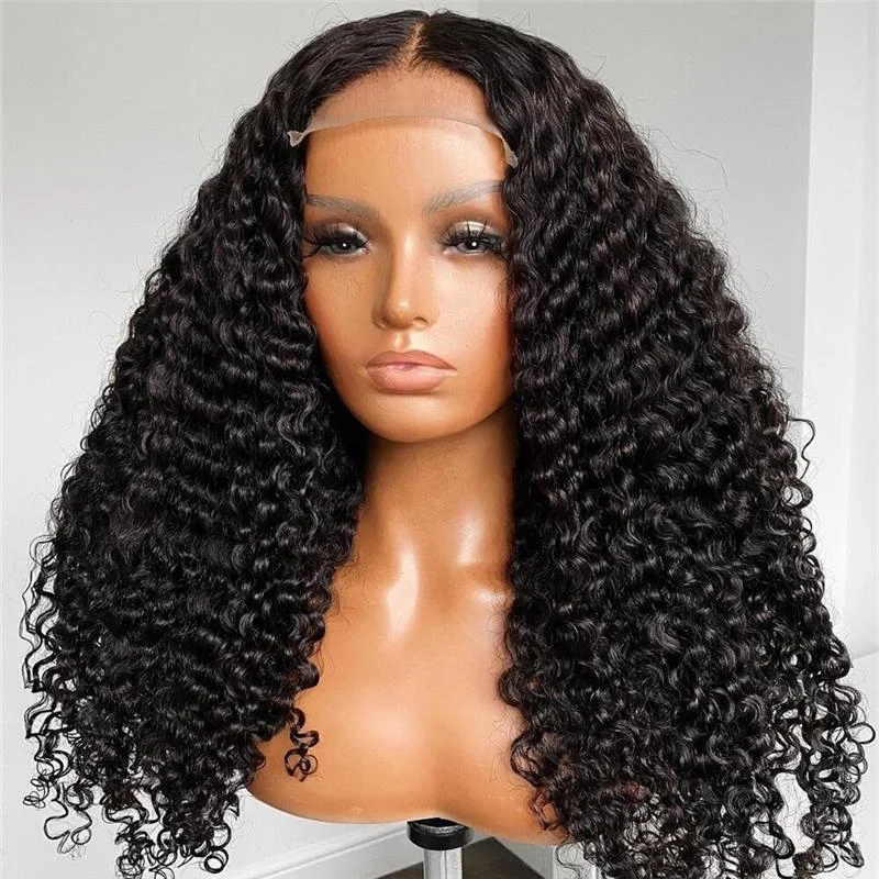 HD Lace Wigs 5x5 Lace Closure Wigs Water Wave Human Hair Preplucked Curly Wigs with Baby Hair