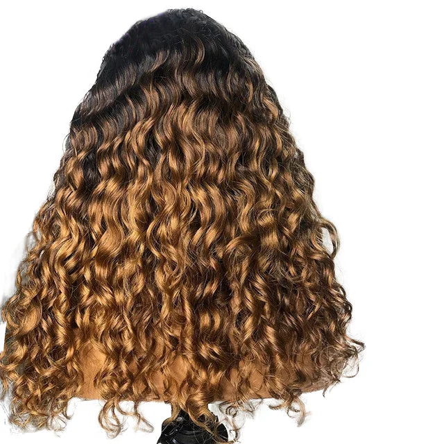 Angel Virgin Brazilian Natural Wave Lace Front Wig