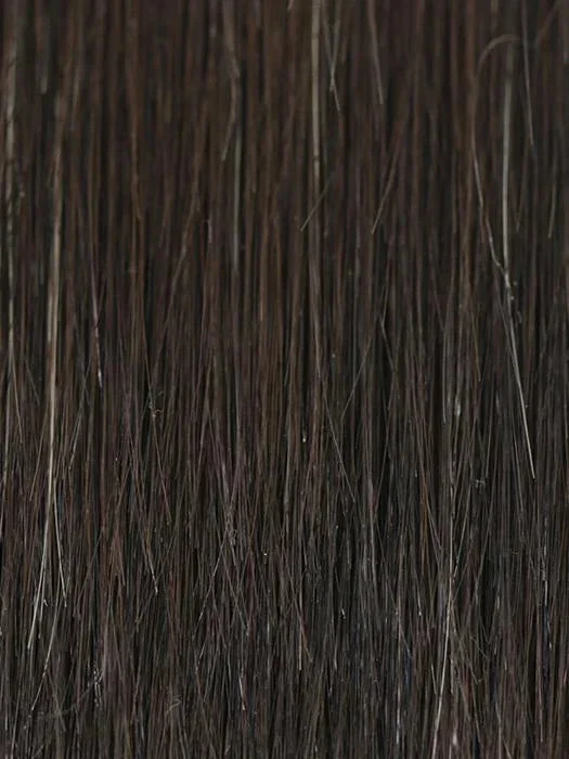 2/4R | Very Dark Brown with highlights