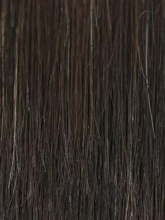 2/4R | Very Dark Brown with highlights