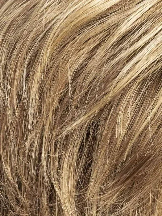 BERNSTEIN MULTI SHADED 12.26.27 | Light Beige Blonde, Medium Honey Blonde, and Platinum Blonde blend